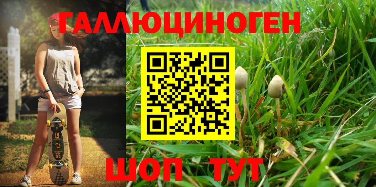 Псилоцибиновые грибы Cubensis Каспийск