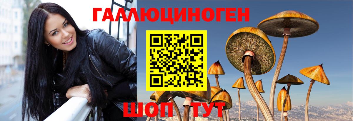 Галлюциногенные грибы Magic Shrooms  Псилоцибиновые грибы мицелий  Вход с VPN  Каспийск 